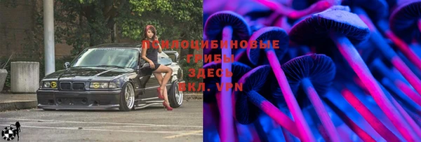 винт Арсеньев