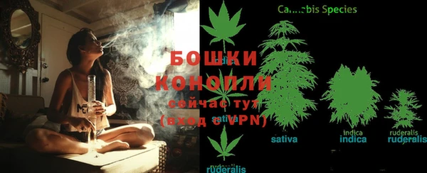 винт Арсеньев
