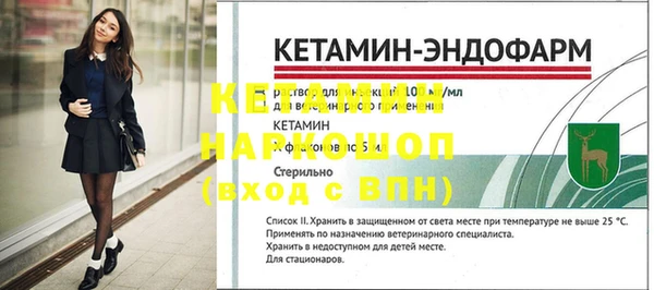шишки Пересвет