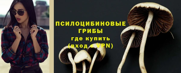 стафф Переславль-Залесский