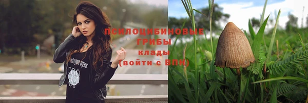 винт Арсеньев