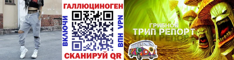 Псилоцибиновые грибы GOLDEN TEACHER omg как войти Мамадыш